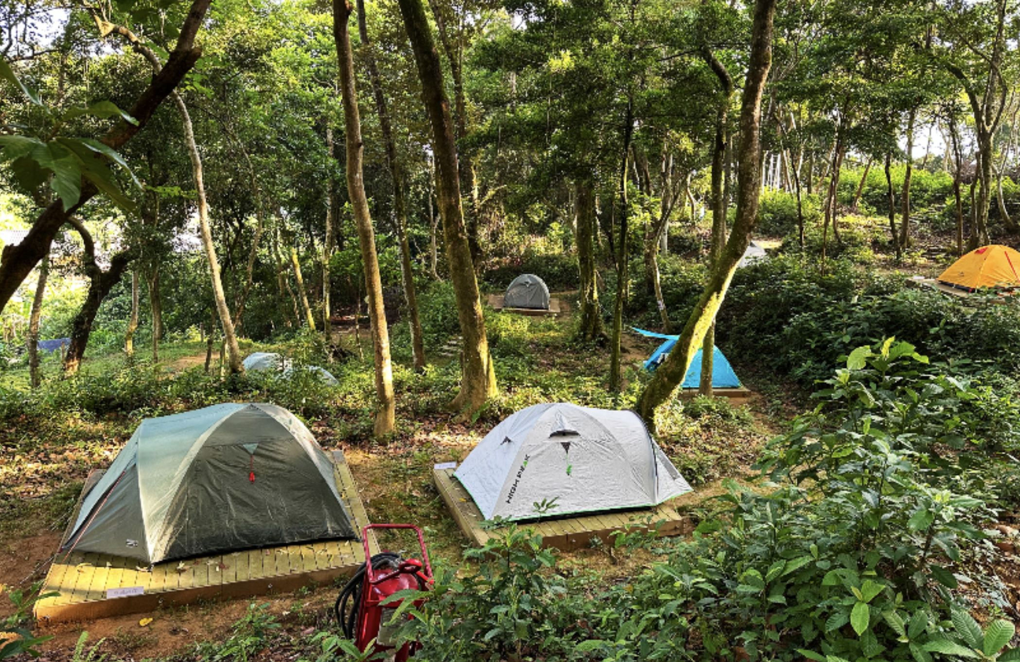 森活做「冬」營